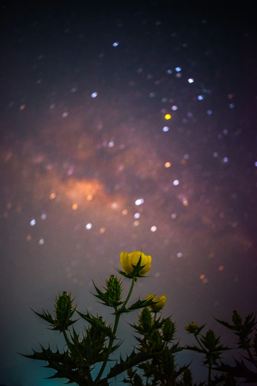 诏安梅岭：七夕献血传递爱 志愿服务暖人心